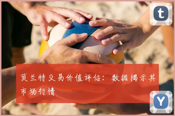 莫兰特交易价值评估：数据揭示其市场行情