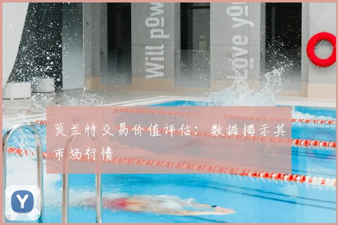 莫兰特交易价值评估:数据揭示其市场行情